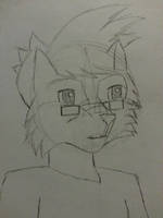 My first anthro me