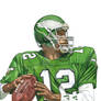 Randall Cunningham