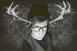 deer antlers by Groundbreaking