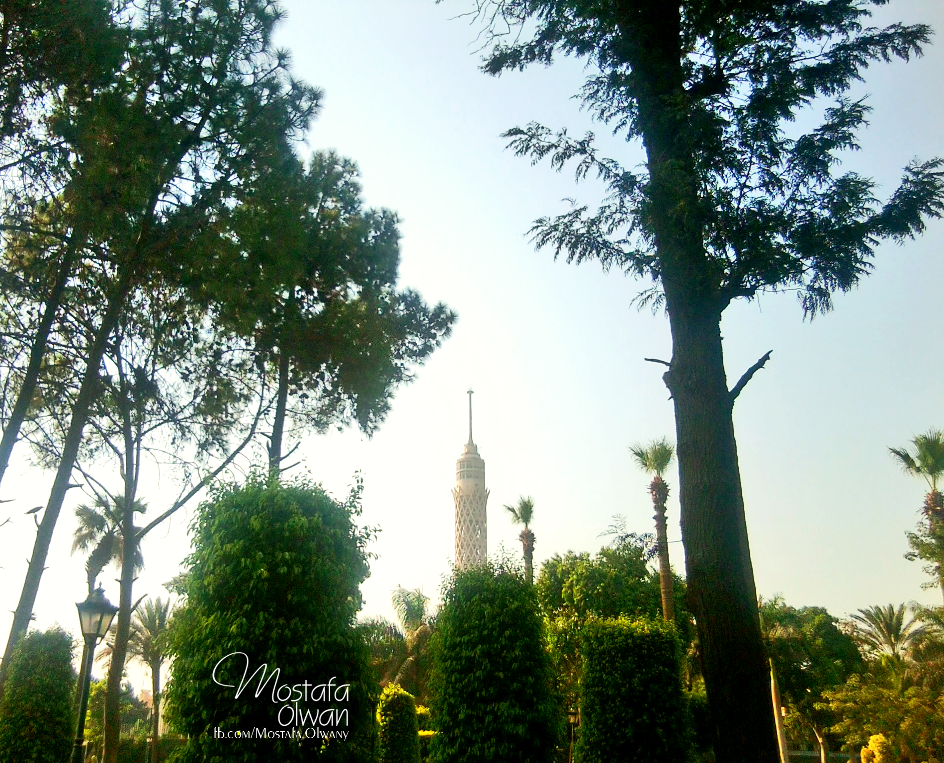 Cairo Tower