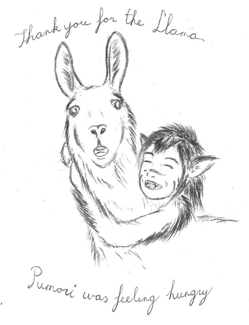 Pumori's Llama Thank You