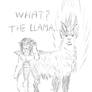 9000 Llama
