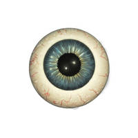 Realistic Eyeballs 3D 1