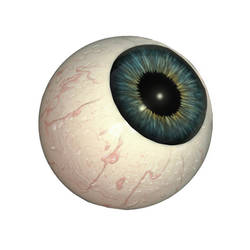 Realistic Eyeballs 3D 2