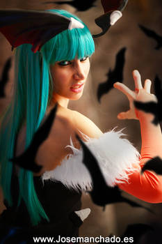 Morrigan Cosplay from Darkstalkers