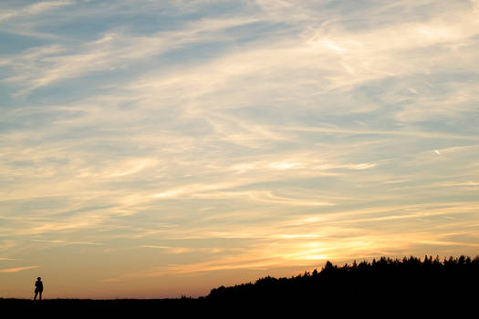 watching the sunset