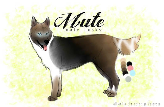 Mute - Male Husky