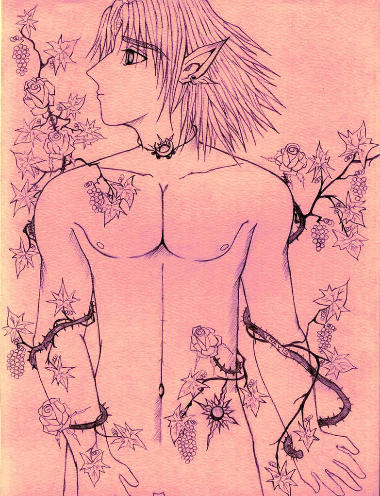 Yue Sun Shell YUE-SUN by byakuya2007 on DeviantArt