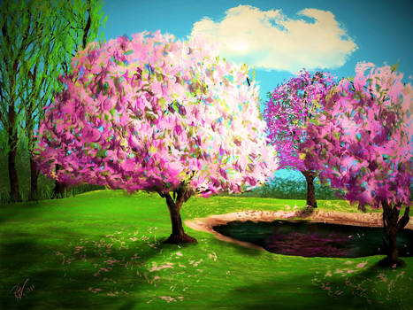 Color Spring