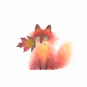 Little fox