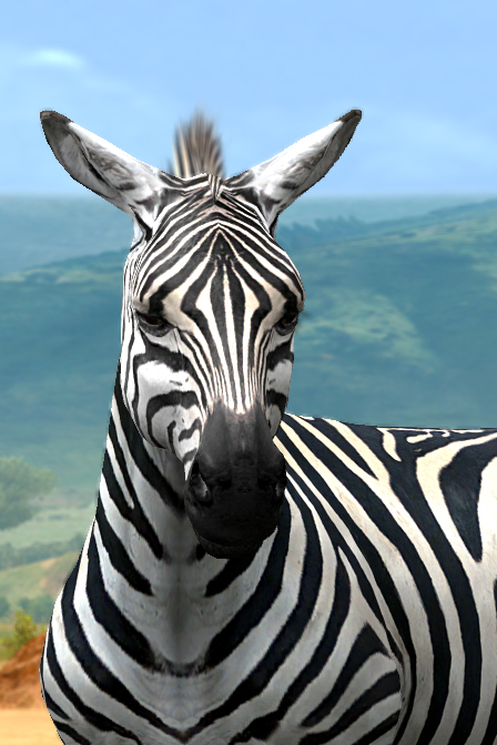 Angry Mini Zebra Angry Zebra by theblazinggecko on DeviantArt