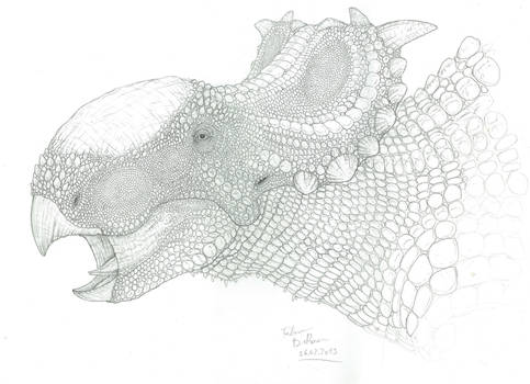 freaky scales - Pachyrhinosaurus canadensis