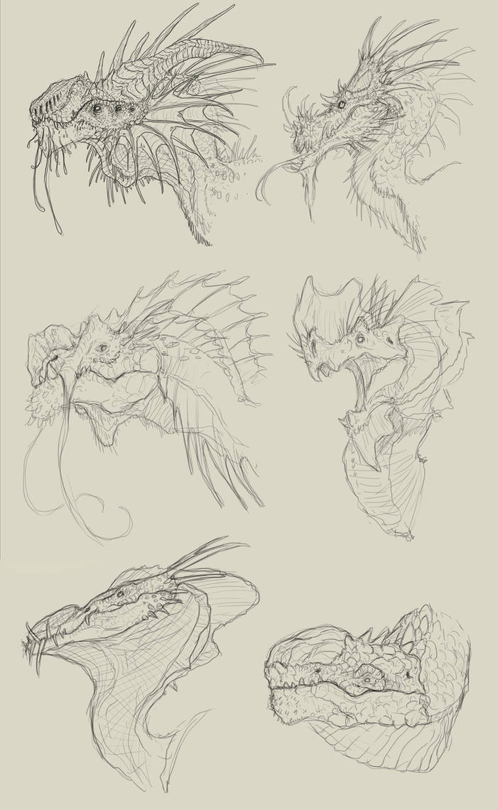 dragon heads - sketches by FabrizioDeRossi on DeviantArt
