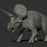 WIP 002 - Triceratops horridus male