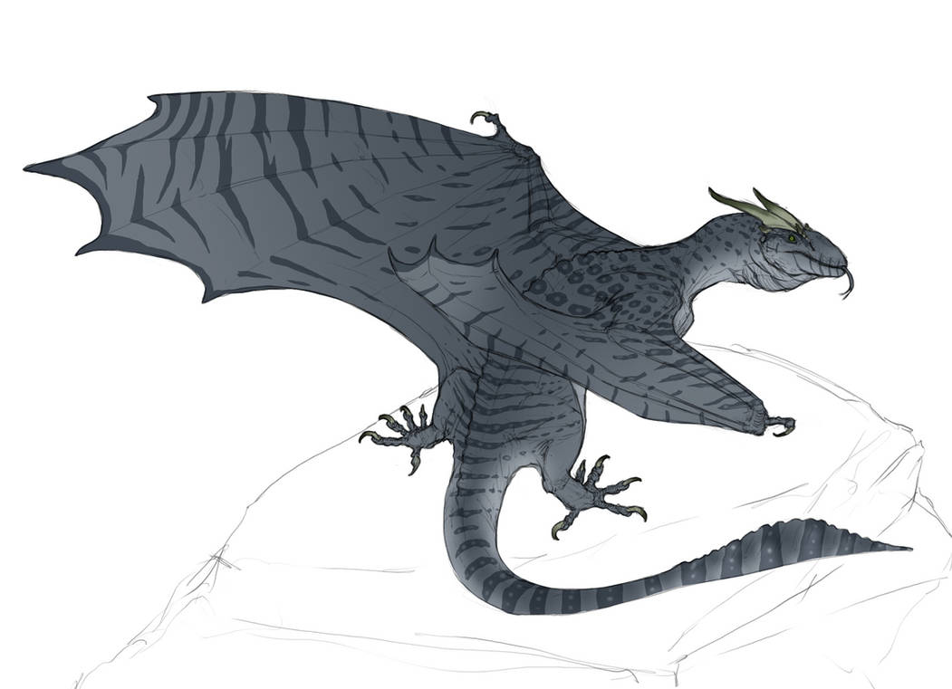 Evolved Monitor Lizard Speculative evolution - monitor lizard dragon by FabrizioDeRossi on ...