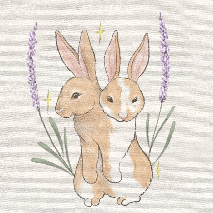 Step Face Double Rabbit Double headed bunny by LuciFawnArt on DeviantArt