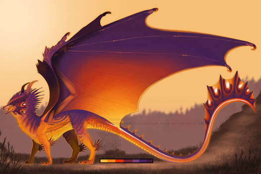 [COM] - Sunset Dragon