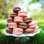 Macaroons.