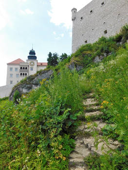 Pieskowa Skala Castle #2