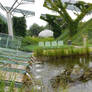 Warsaw Library Gardens