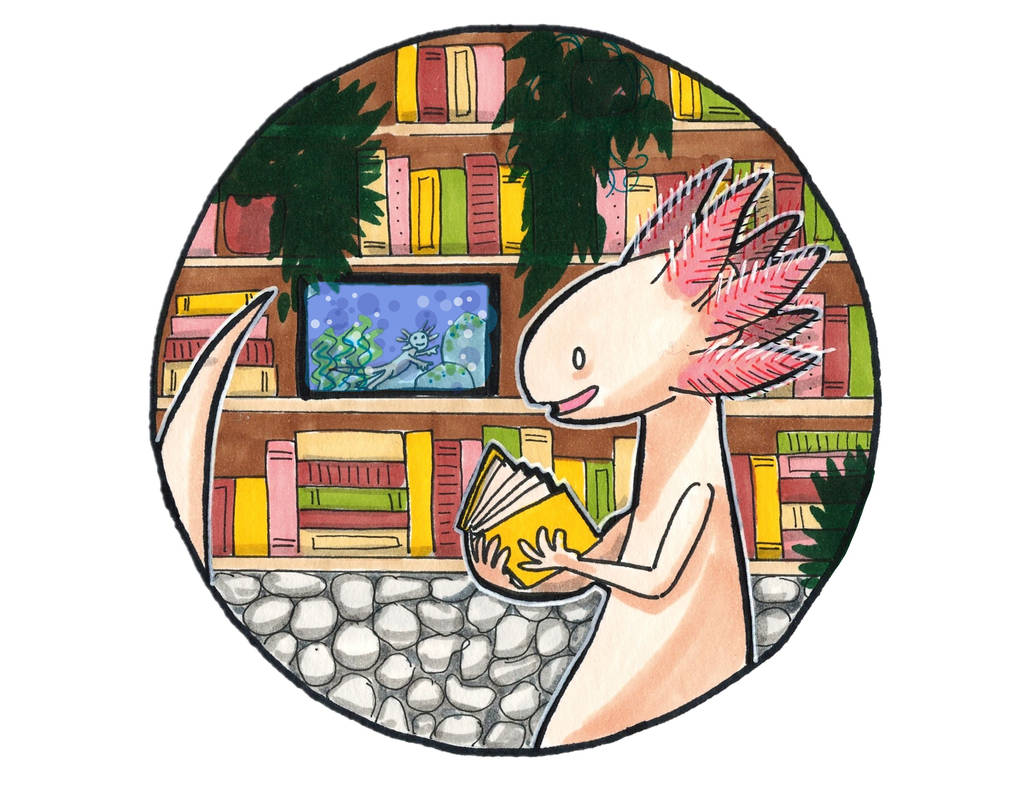 Library 12: Axolotl