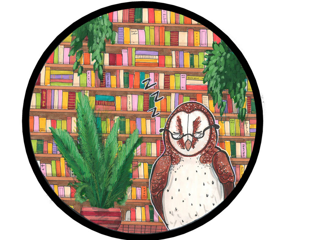 Library 15: Owl