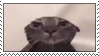 (009) Silly Cat Stamp