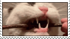 dgfgbhn-95e2b87b-0803-4ff0-93ef-b99eb53f