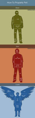 TFW - Petting guide by Vivalski