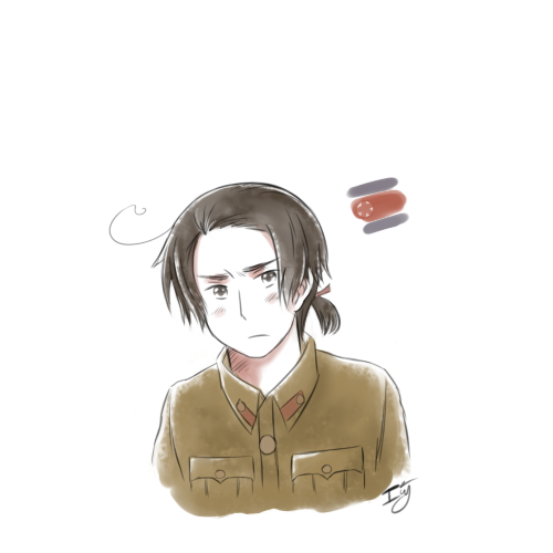 APH North Korea