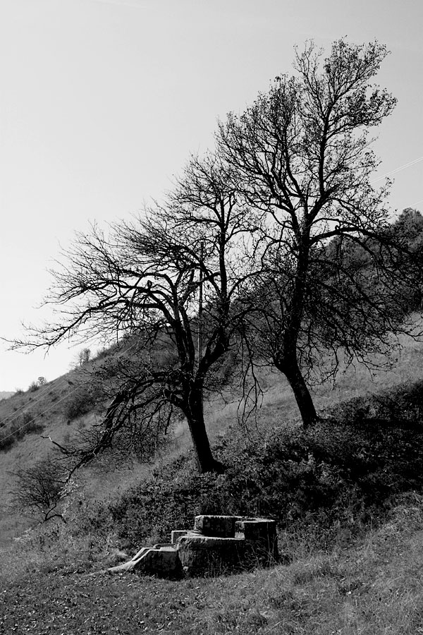 A couple at the old well