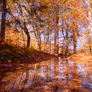 DSC01250-1b