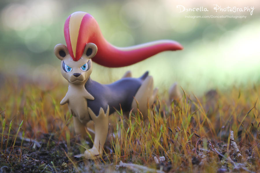 Female Pyroar by DoncellaSuicide on DeviantArt