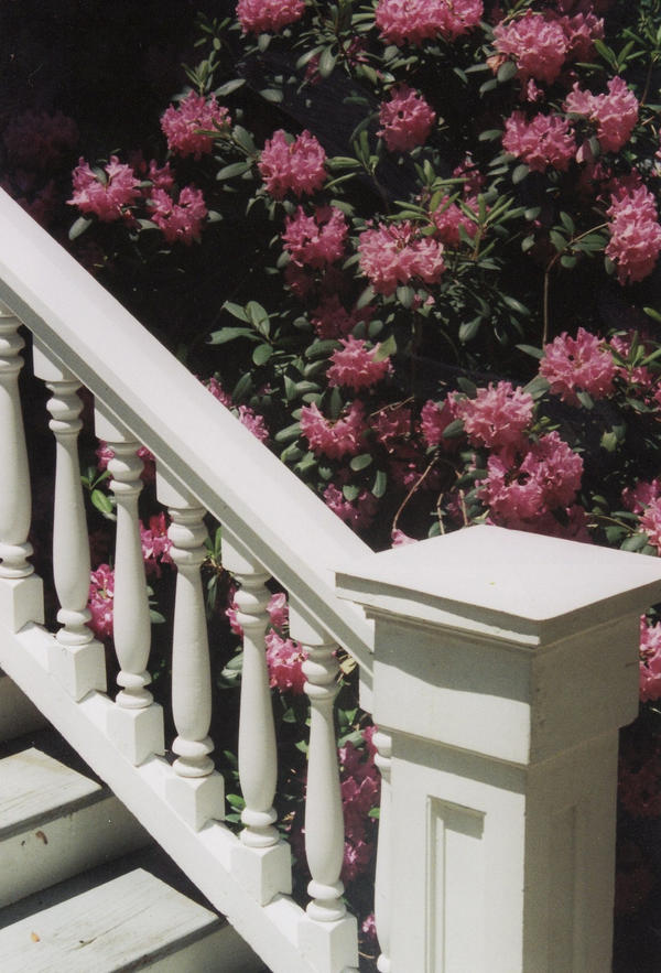 Gradation by severianos on DeviantArt