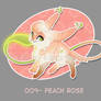 009 - Peach Rose