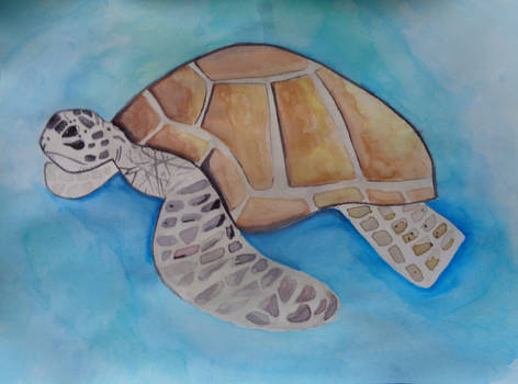 Watercolor Turtle