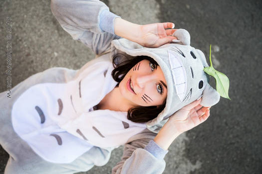 Totoro Cosplay