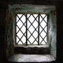 Window5