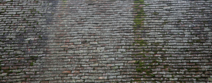 Roof texture