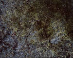 Texture Mould by NickiStock