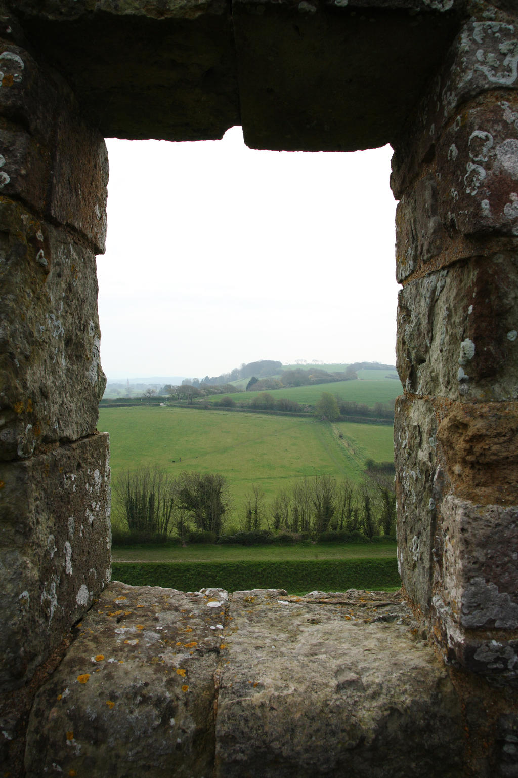 Castle window