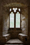 Castle Window - Battle Abbey by NickiStock