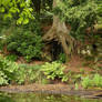 Enchanted Woods