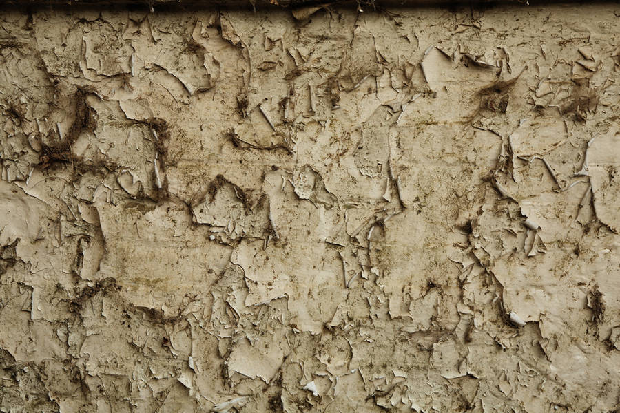 Crusty paint texture by NickiStock