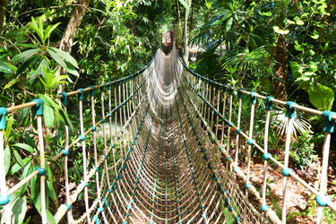 Rope Walkway- Stock Image