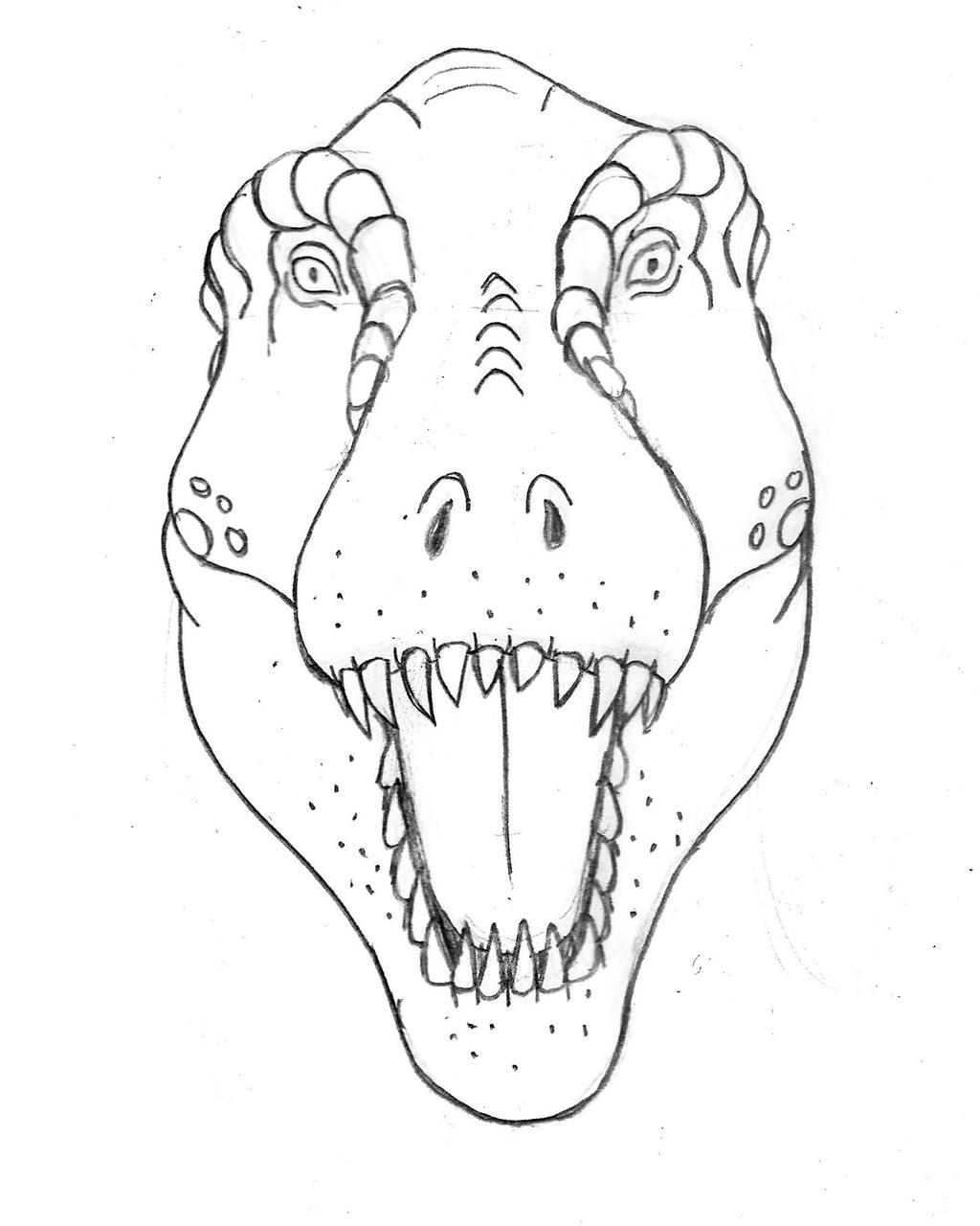 T. rex Head On by TyrannoNinja on DeviantArt