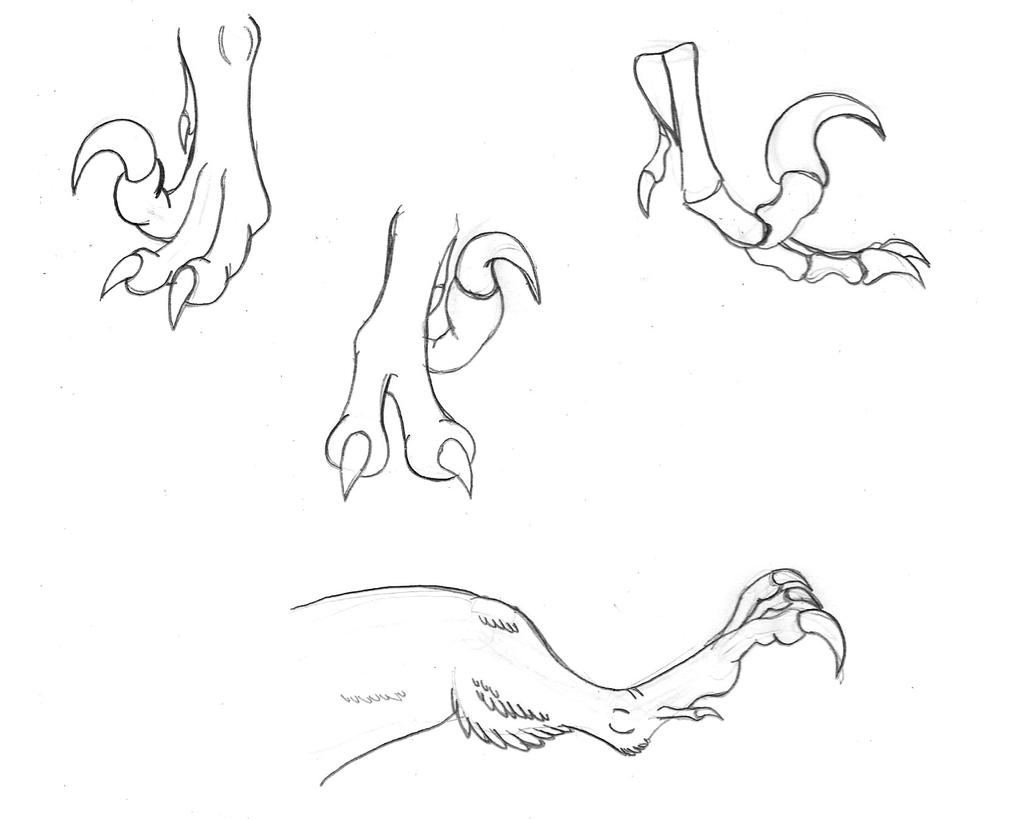 Raptor Foot Studies by BrandonScottPilcher on DeviantArt