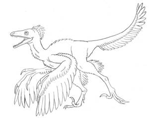 Archaeopteryx Sketch