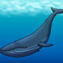 Blue Whale