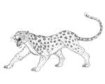 Leopard by TyrannoNinja